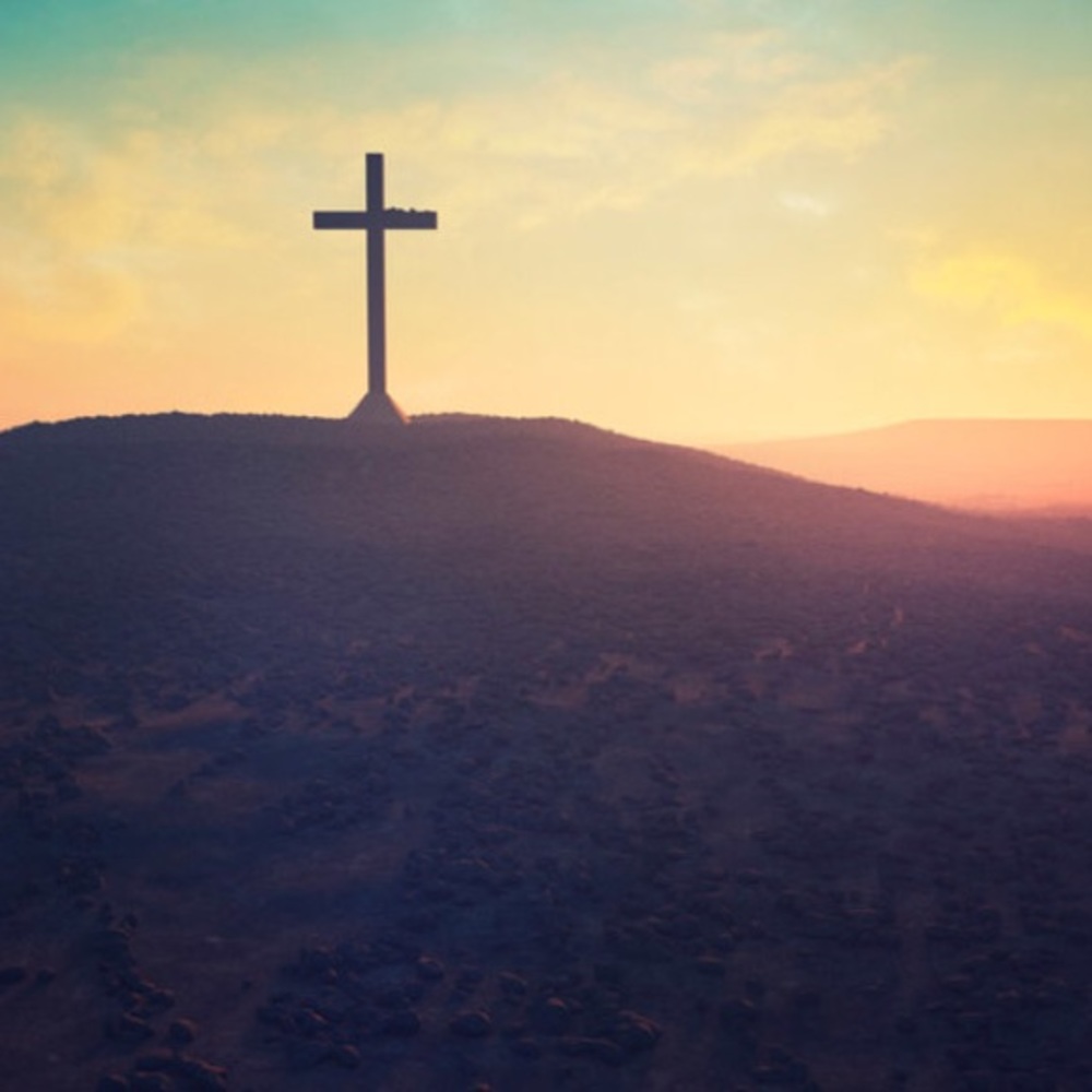 Meet your Posher, Lorena